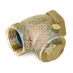 Brass Check Valve Swing Action 1"FPT #3169